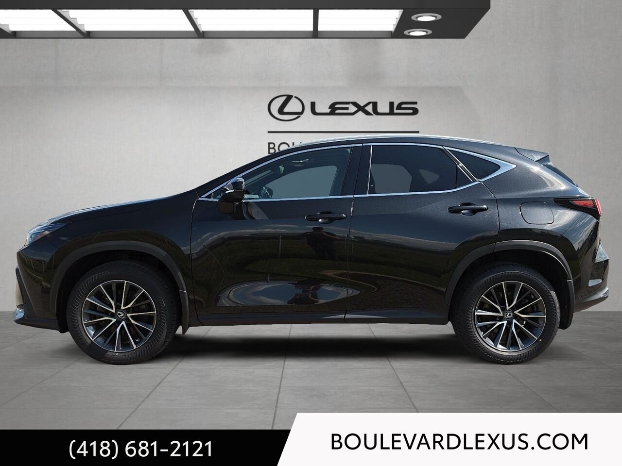 Lexus NX 19901A | NX 350h TI 2022 Noir Québec - photo #5