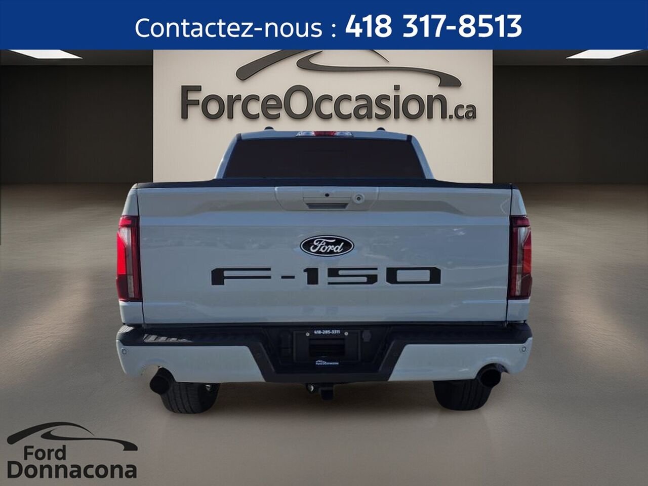 Ford F-150 2024 Gris Donnacona - photo #5