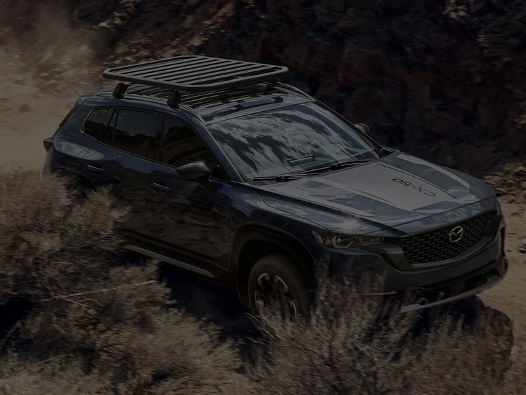 2024 CX50 C22 Performance Dt