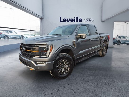 Ford F-150 2023 2023 Gris