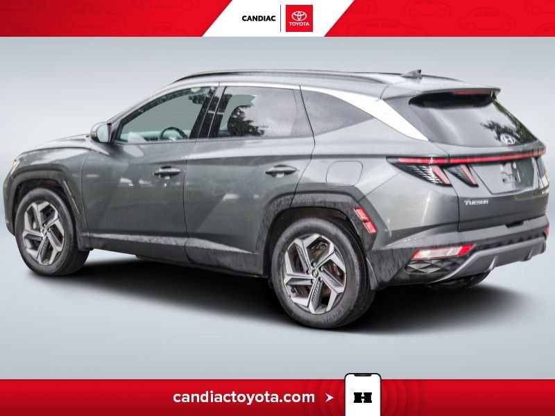 Hyundai Tucson 2023 Gris Laval - photo #5