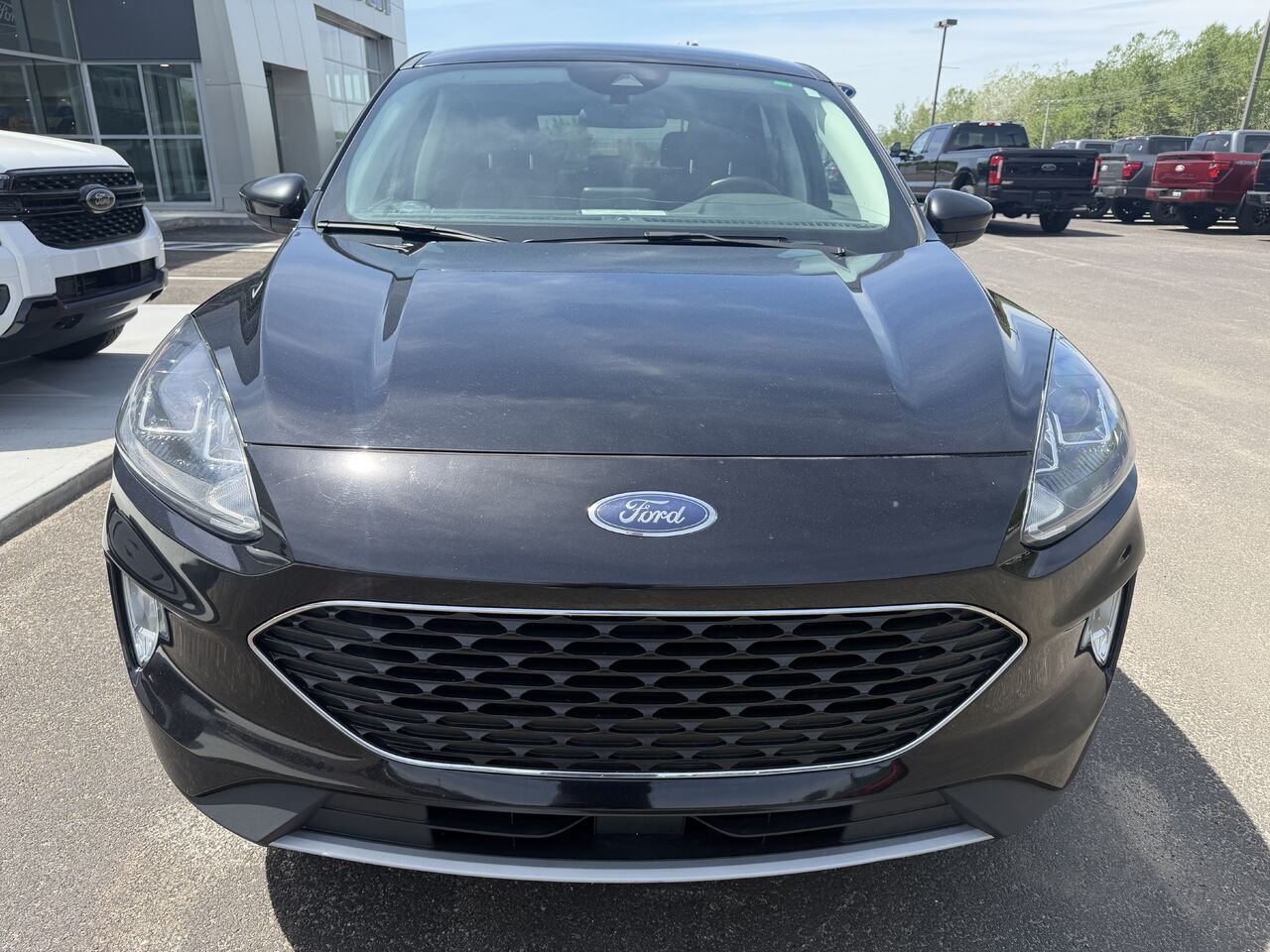 Ford Escape 2022 Noir Mont-Laurier - photo #8