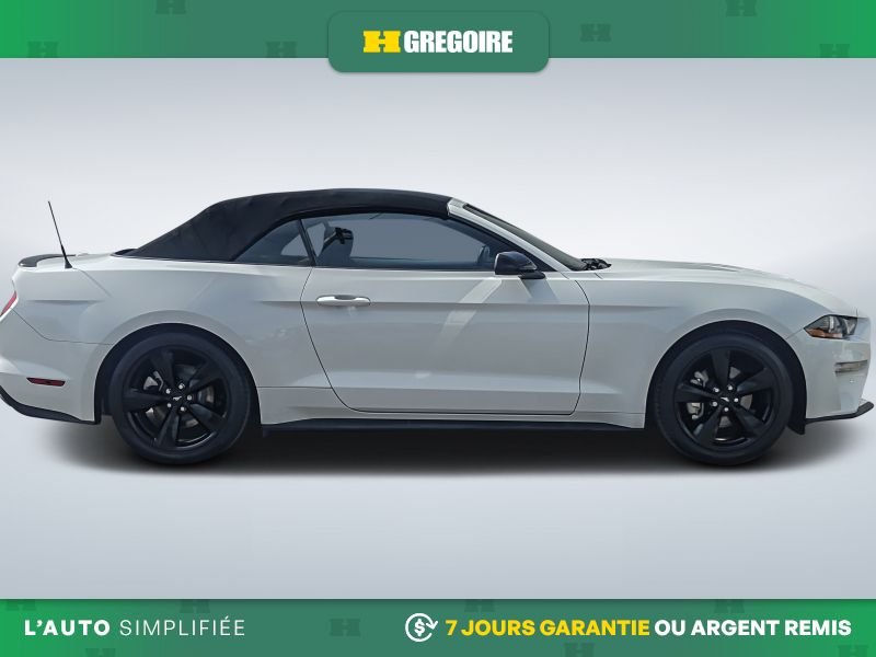 2021 Ford Mustang White Laval - photo #10