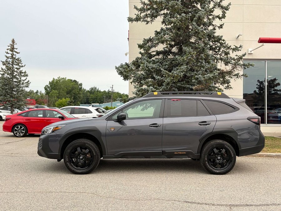 Subaru OUTBACK 2024 2024 Gris