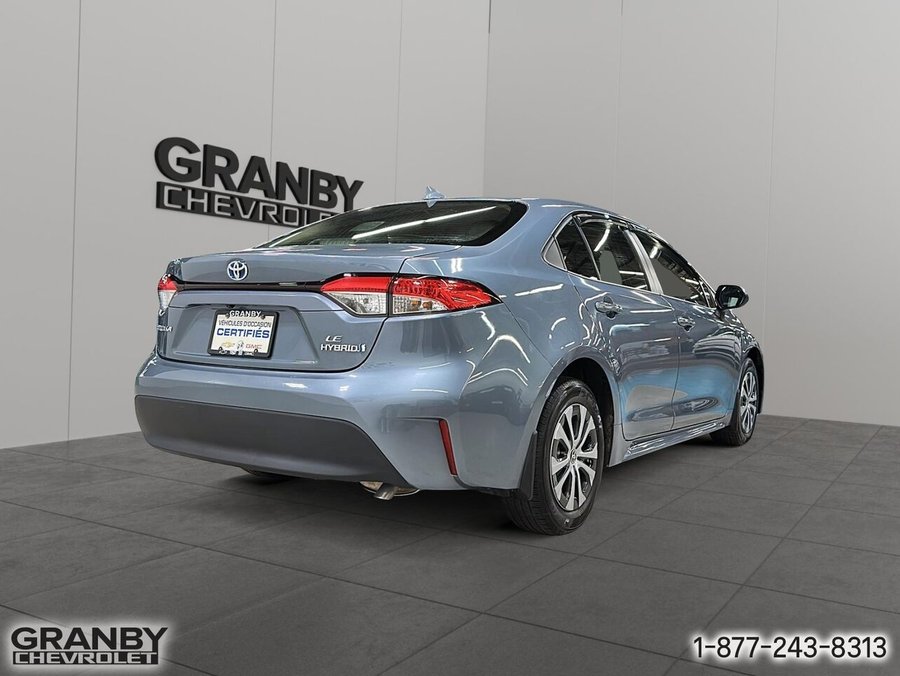 2023 Toyota Corolla 2023 Blue
