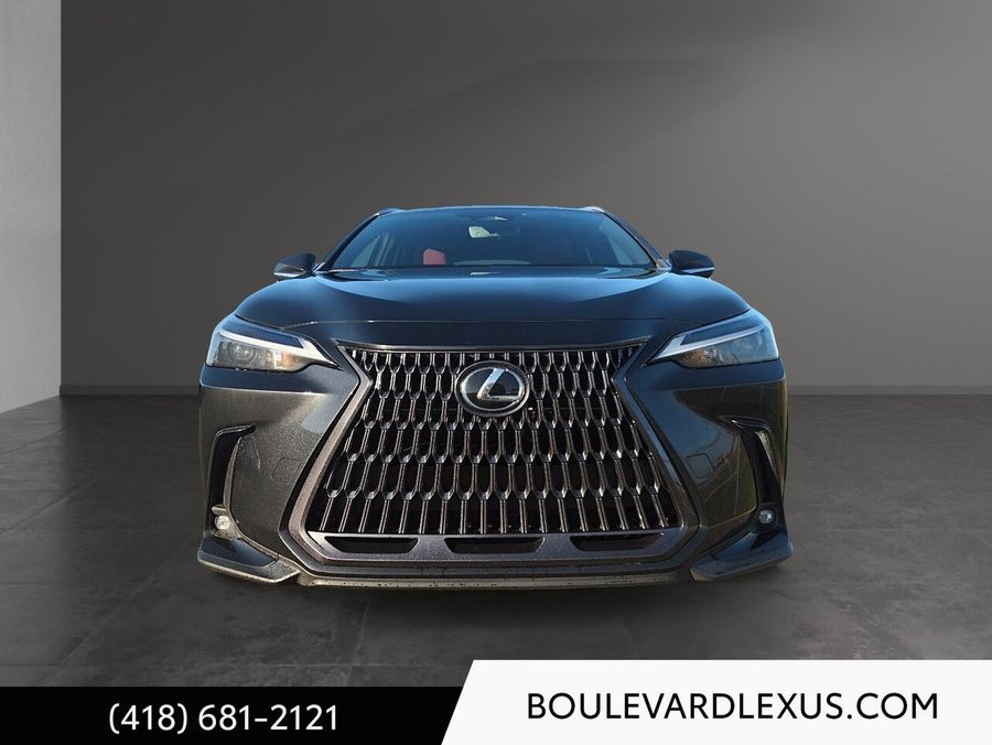 2022 Lexus NX 2022 Black