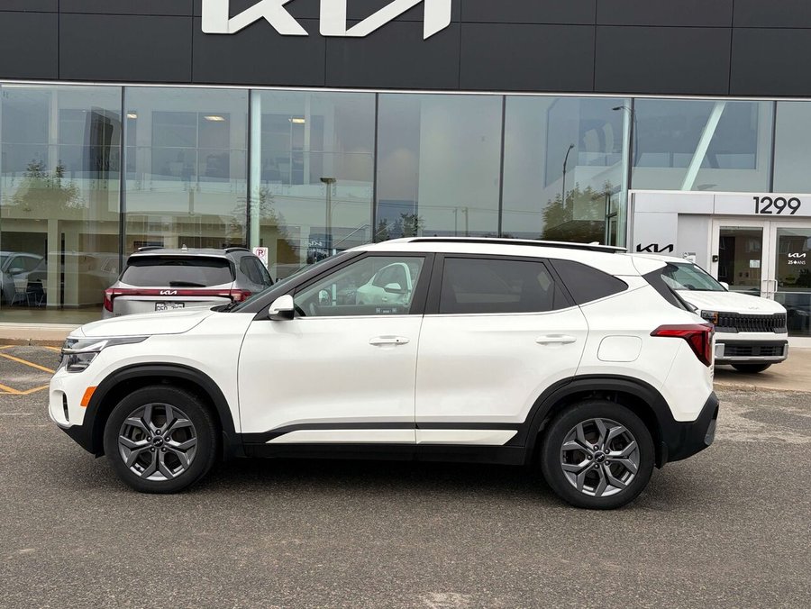 Kia Seltos EX 2024 Blanc
