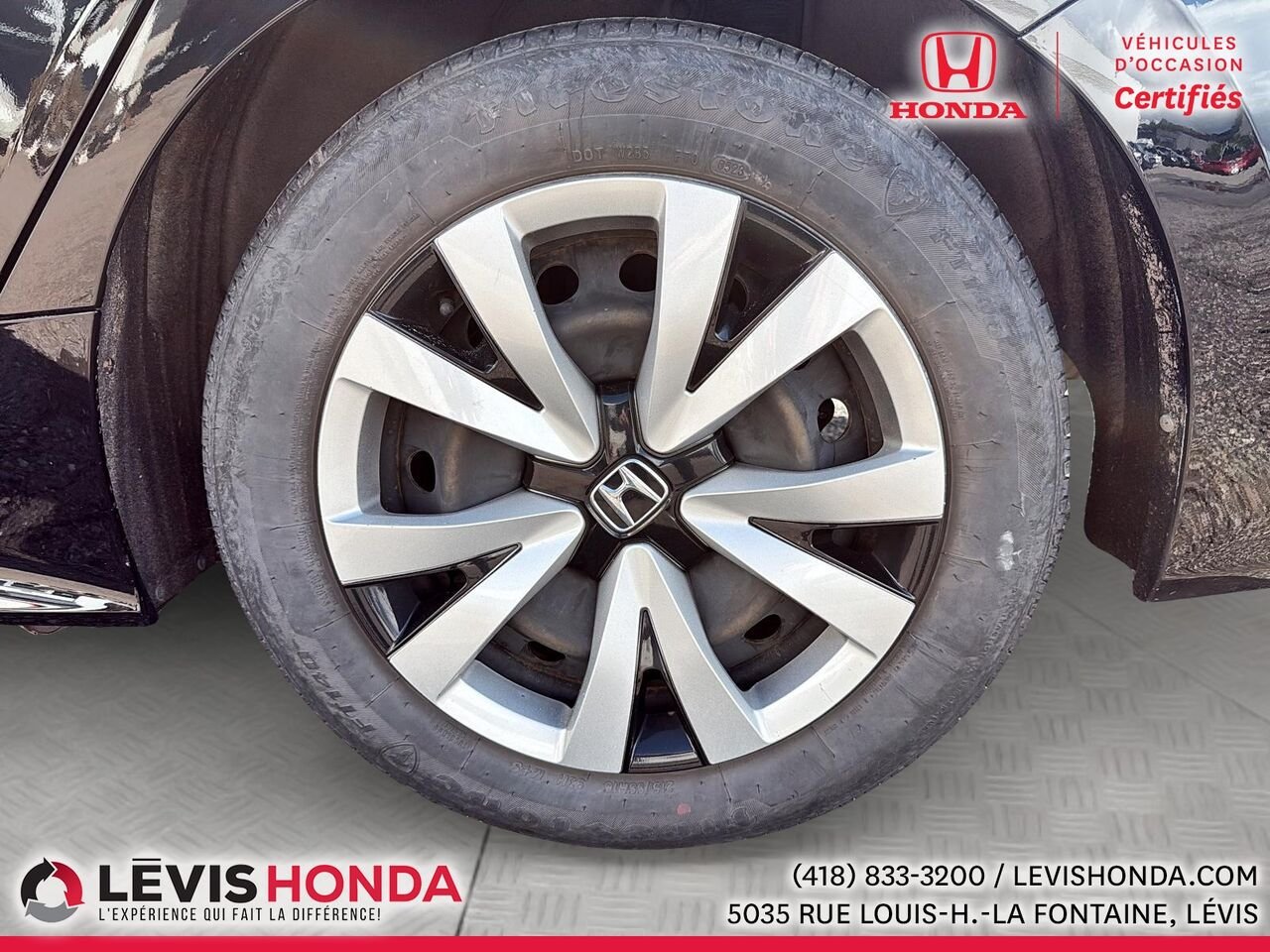 Honda Civic LX LX CVT 2023 Blanc Lévis - photo #14
