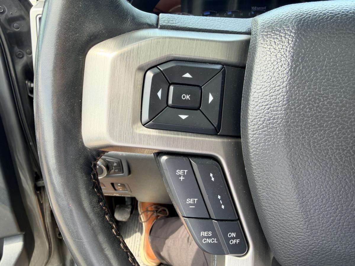 Ford Super Duty F-250 SRW 2022 Gris  - photo #15