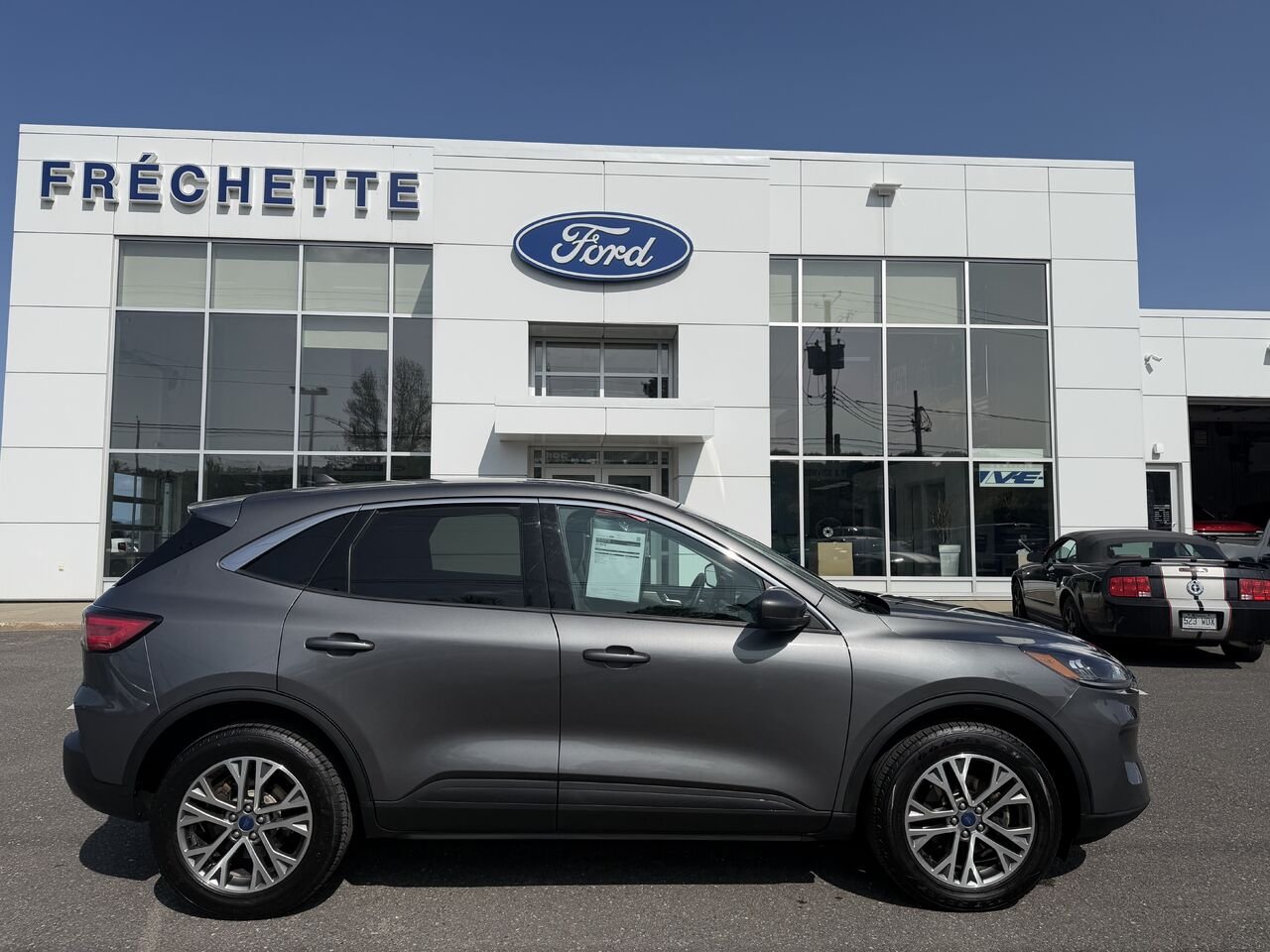 Ford ESCAPE 2022 Gris Montmagny - photo #1