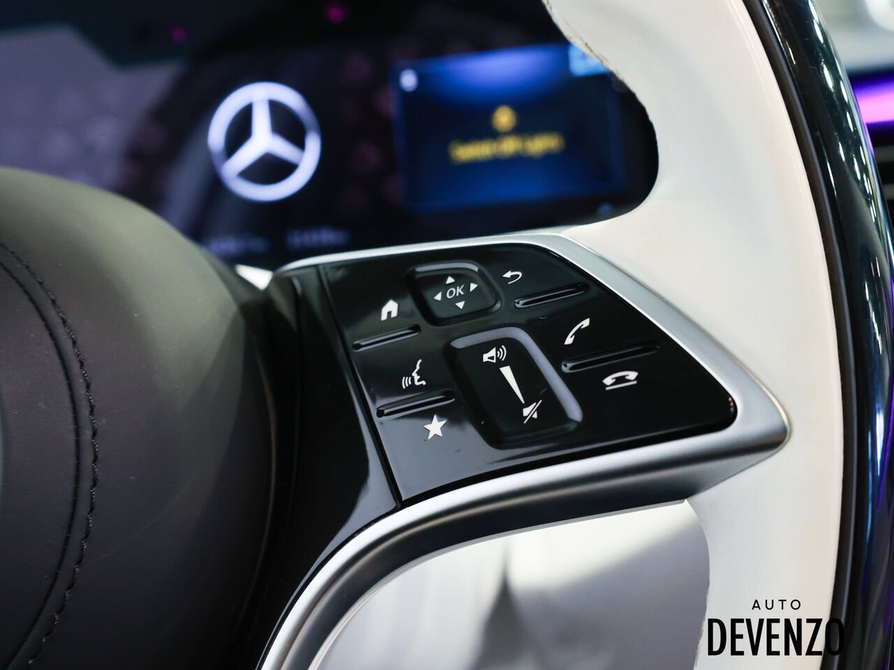 Mercedes-Benz Classe-S 2023 Gris Saint-Eustache - photo #20