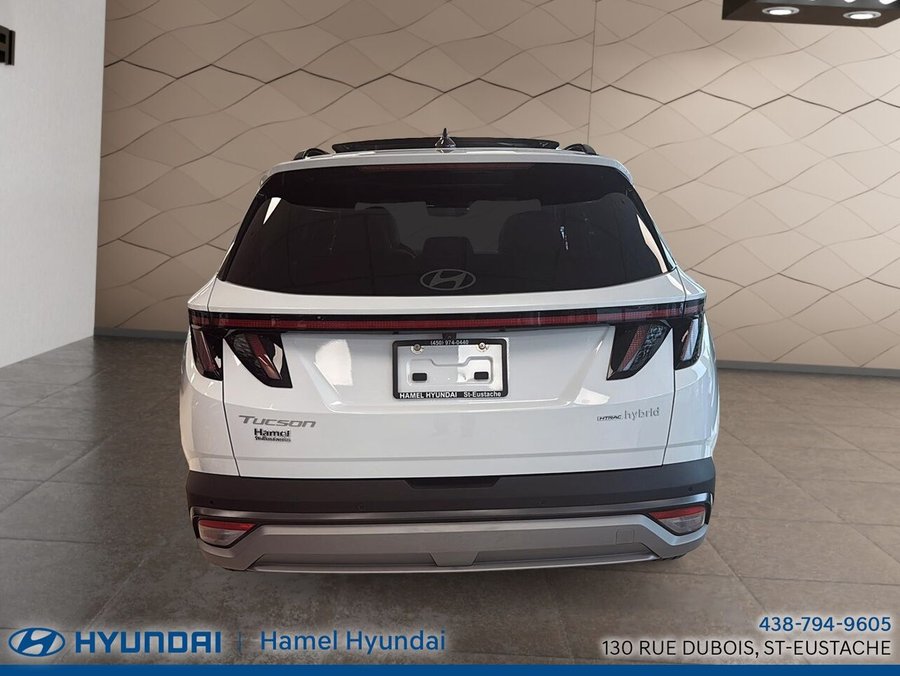 HYUNDAI Tucson hybride 2025 2025 Blanc cristal