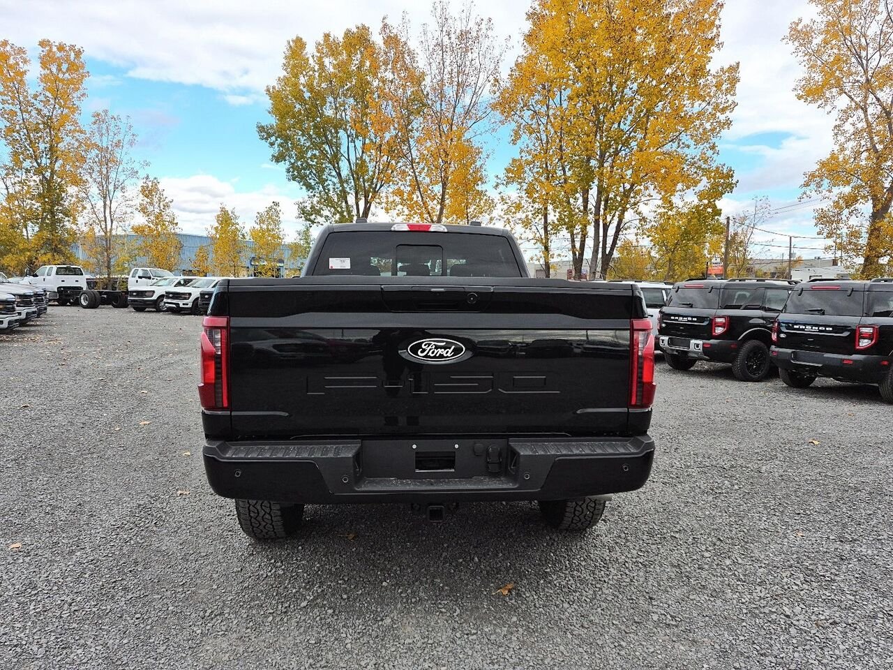 Ford F-150 2F459 | XLT 2026 Noir agate métallisé Saint-Jérôme - photo #4