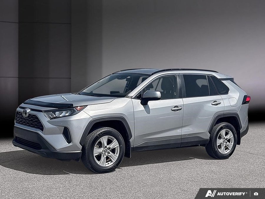 Toyota RAV4 2019 2019 Gris