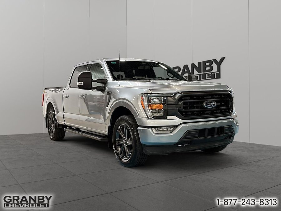 2023 Ford F-150 2023 Grey