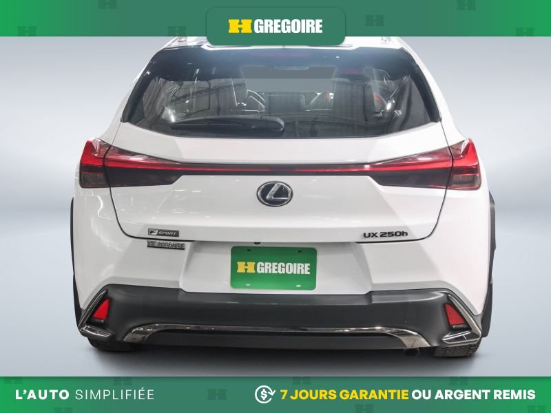 Lexus UX 2020 Blanc Blainville - photo #5