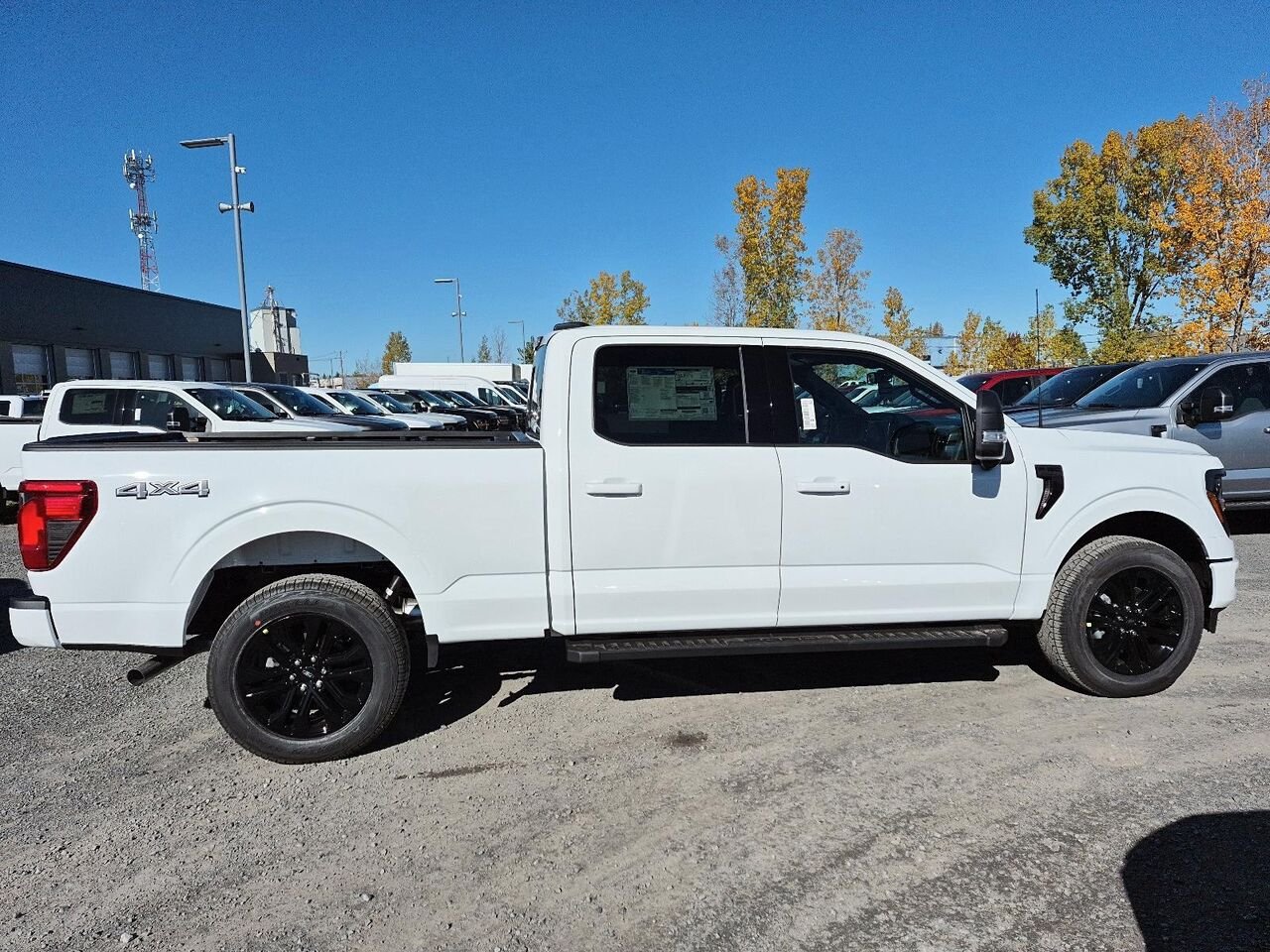 Ford F-150 2F417 | XLT 2026 Blanc Oxford Saint-Jérôme - photo #6