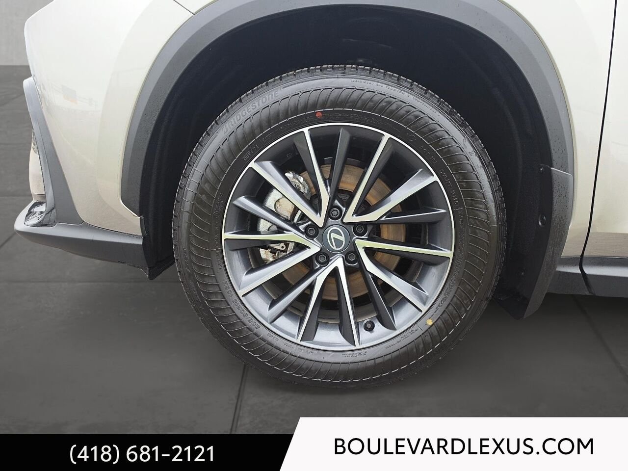 LEXUS NX 20095A | NX 350H 2026 Argent Québec - photo #6