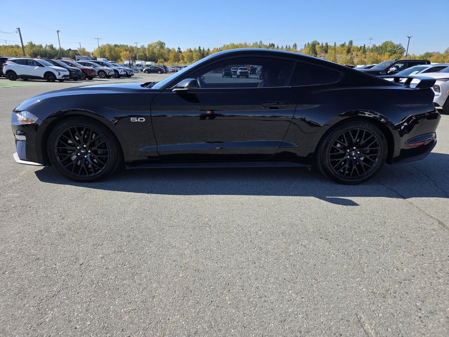 2019 Ford Mustang GT à toit fuyant Black
