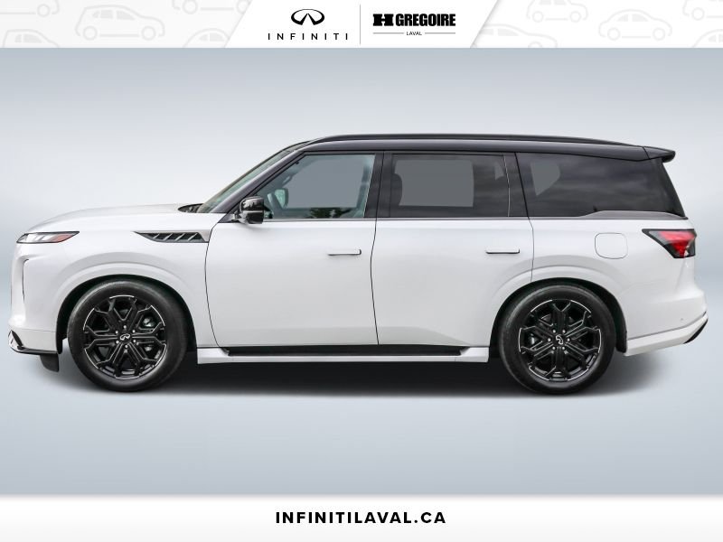 Infiniti QX80 2026 2026