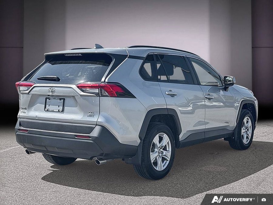 Toyota RAV4 2019 2019 Gris