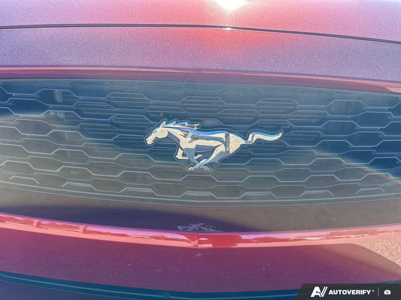 Ford Mustang 1FA6P8AM3G5308367 2016 Rouge Mirabel - photo #11