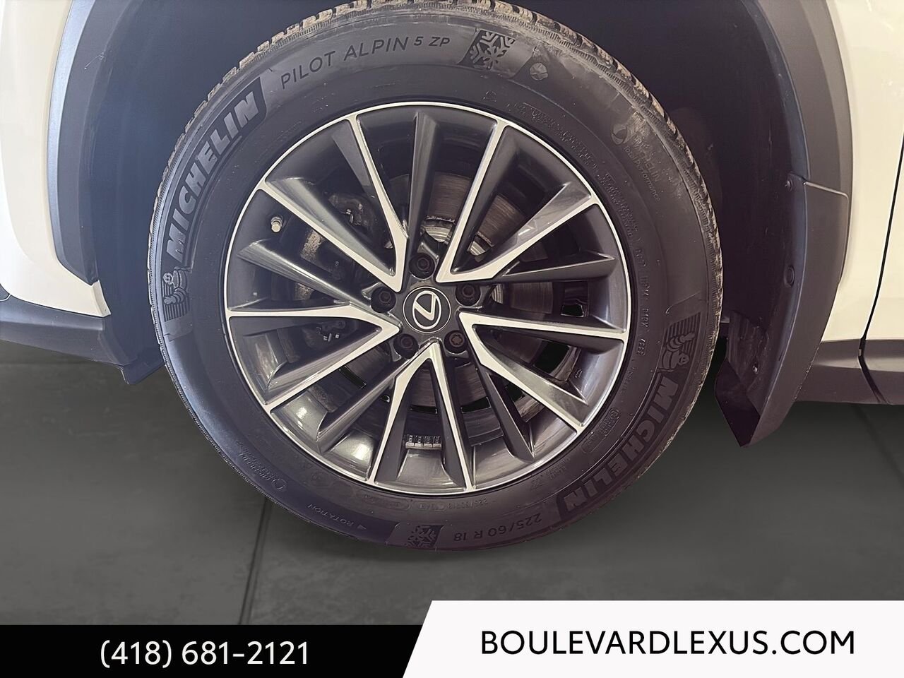 2023 Lexus NX White Quebec - photo #6