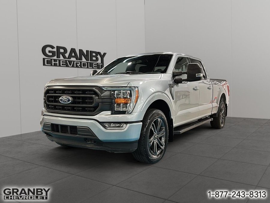 2023 Ford F-150 2023 Grey