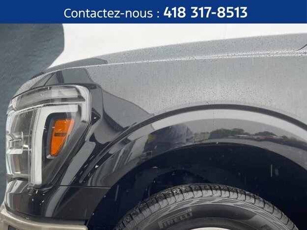 2025 Ford F-150 Black  - photo #5