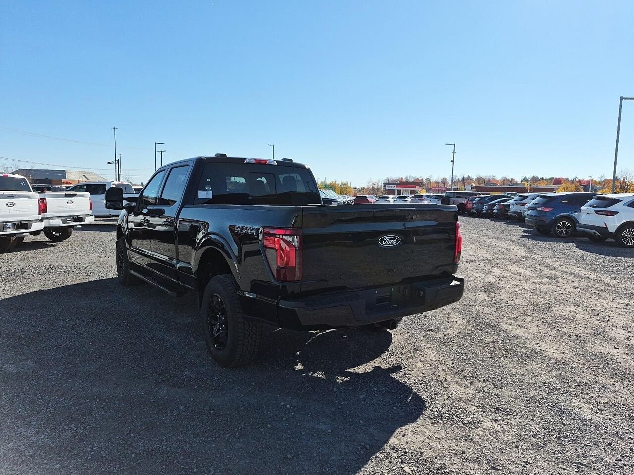 Ford F-150 2F402 | XLT 2026 Noir agate métallisé Saint-Jérôme - photo #3