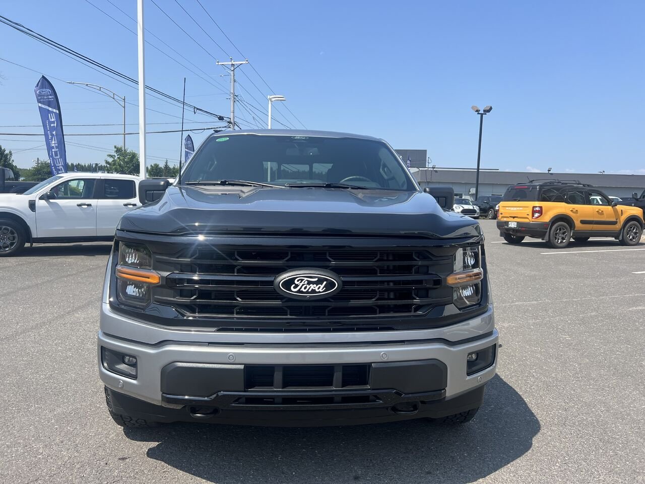 2026 Ford F-150 Grey Montmagny - photo #8