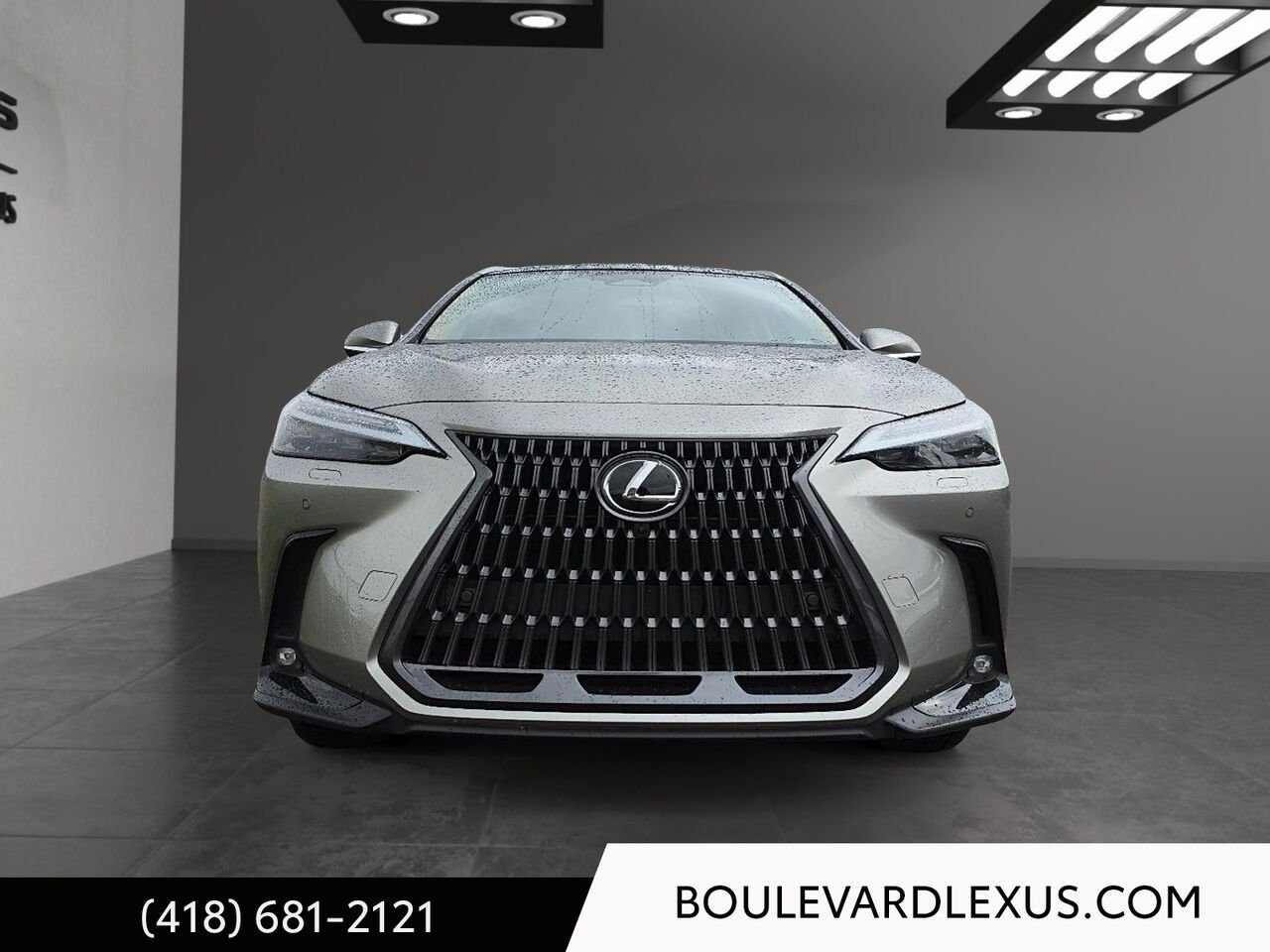 Lexus NX 601183 | NX 350h TI 2024 Argent Québec - photo #1