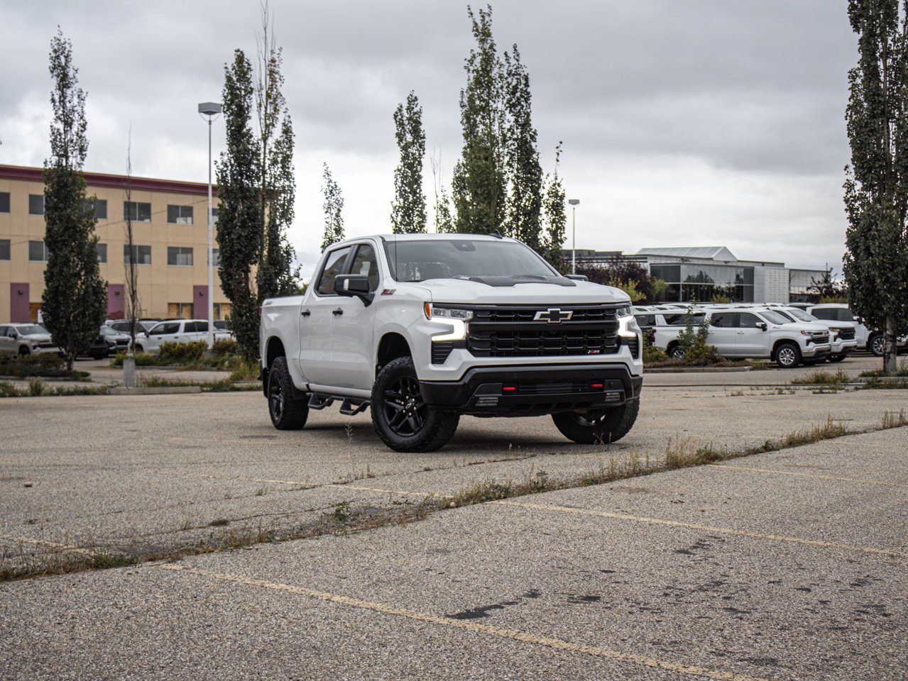 2024 Chevrolet Silverado 1500 4WD Crew Cab 147 LT Trail Boss White Sherwood Park - photo #1