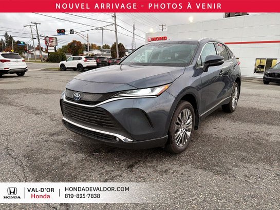 2024 Toyota Venza XLE AWD Blue