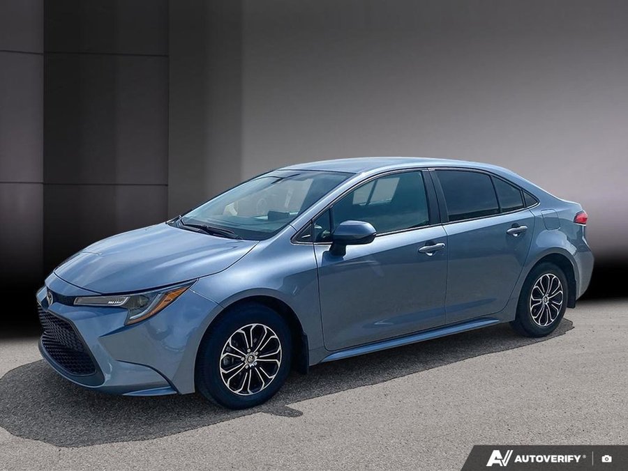 Toyota Corolla 2020 2020 Bleu