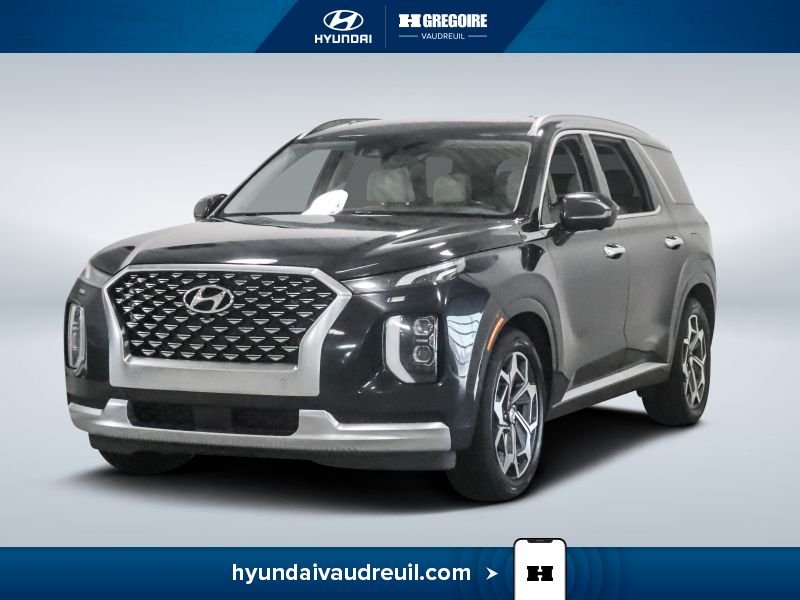 2021 Hyundai Palisade 2021 Blue