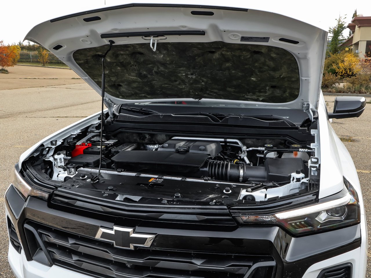 2024 Chevrolet Colorado 4WD Crew Cab Z71 White Sherwood Park - photo #9