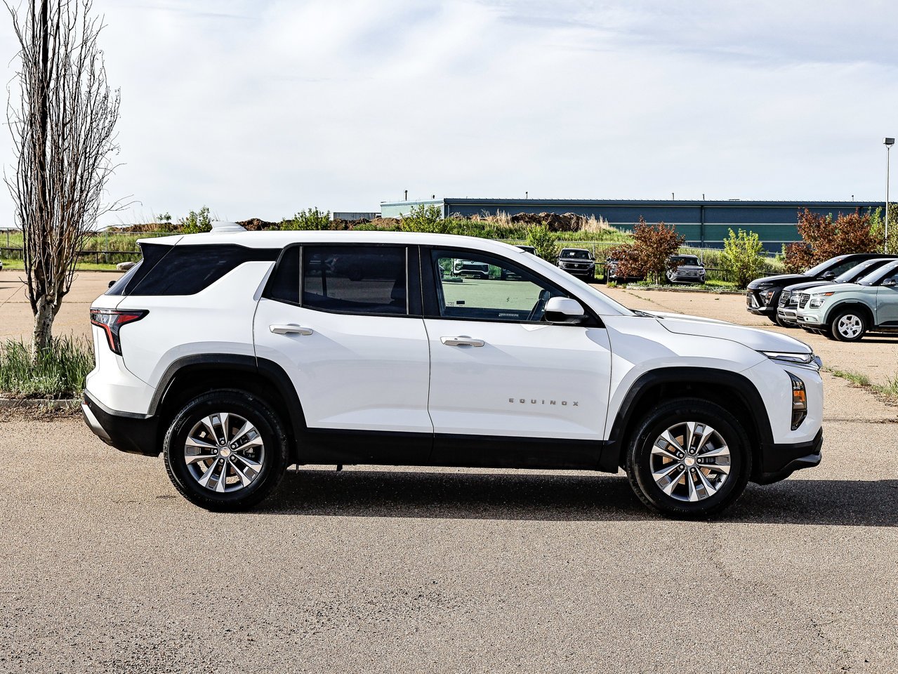 2026 Chevrolet Equinox AWD 4dr LT w/2LT White Sherwood Park - photo #13