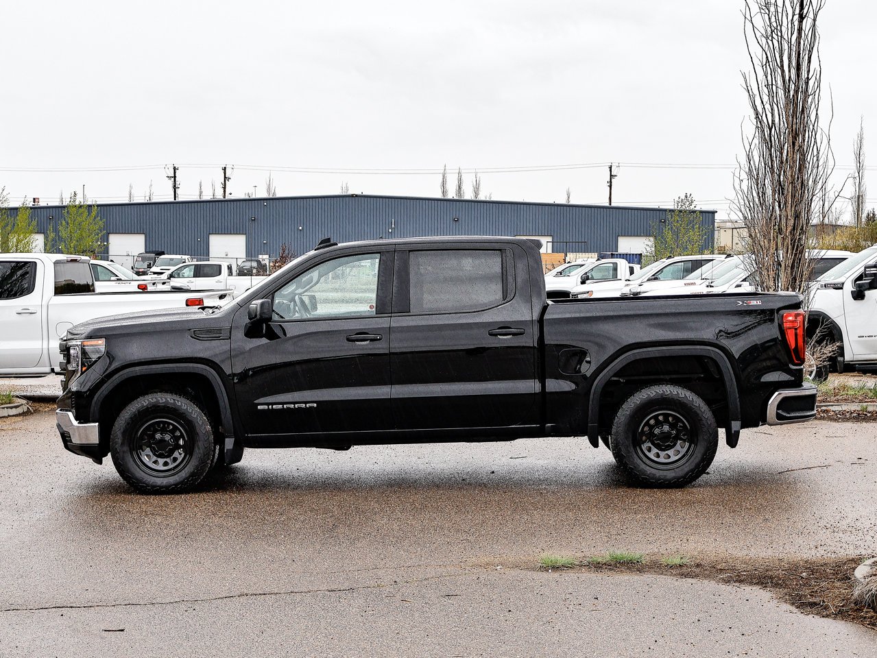 2024 GMC Sierra 1500 4WD Crew Cab 147 Pro Black Sherwood Park - photo #9