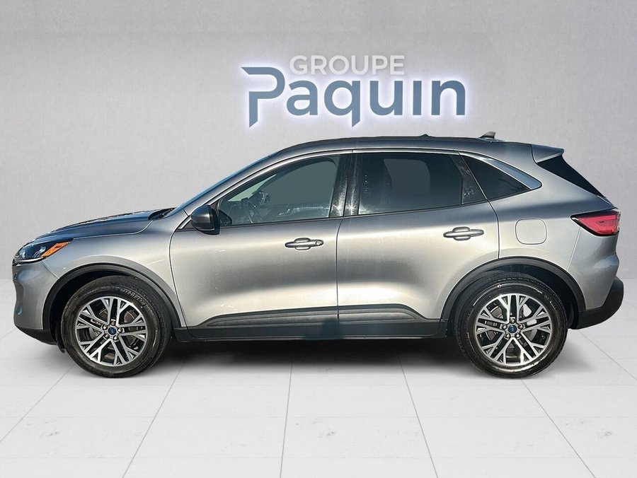 Ford Escape 2022 2022 Argent