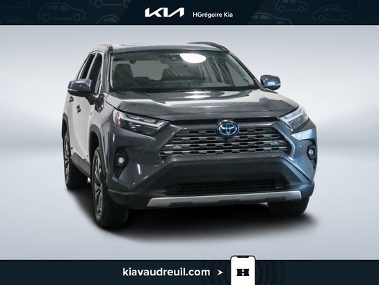 Toyota Rav 4 2022 2022 Gris