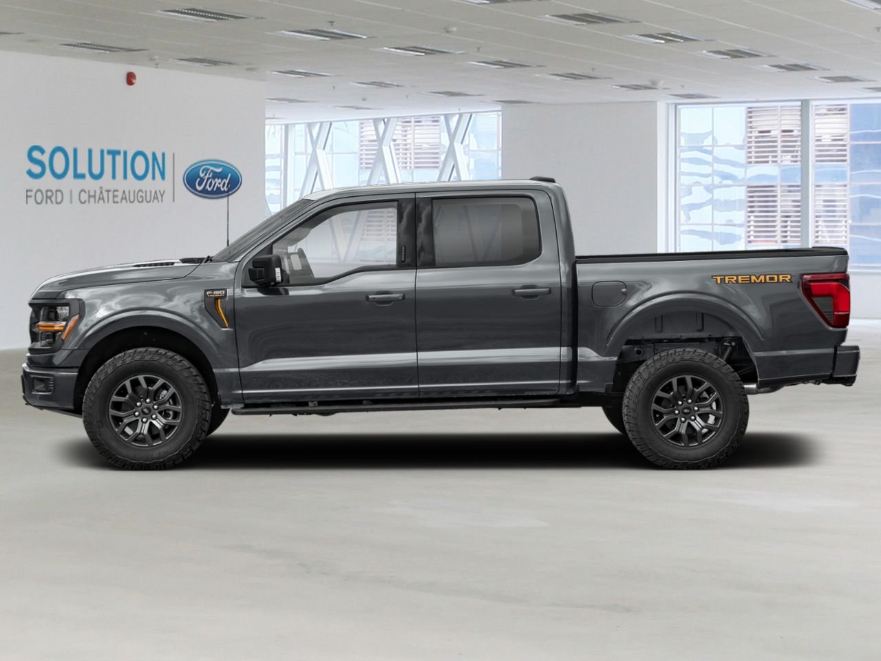 Ford F-150 2026 Gris Saint-Eustache - photo #1