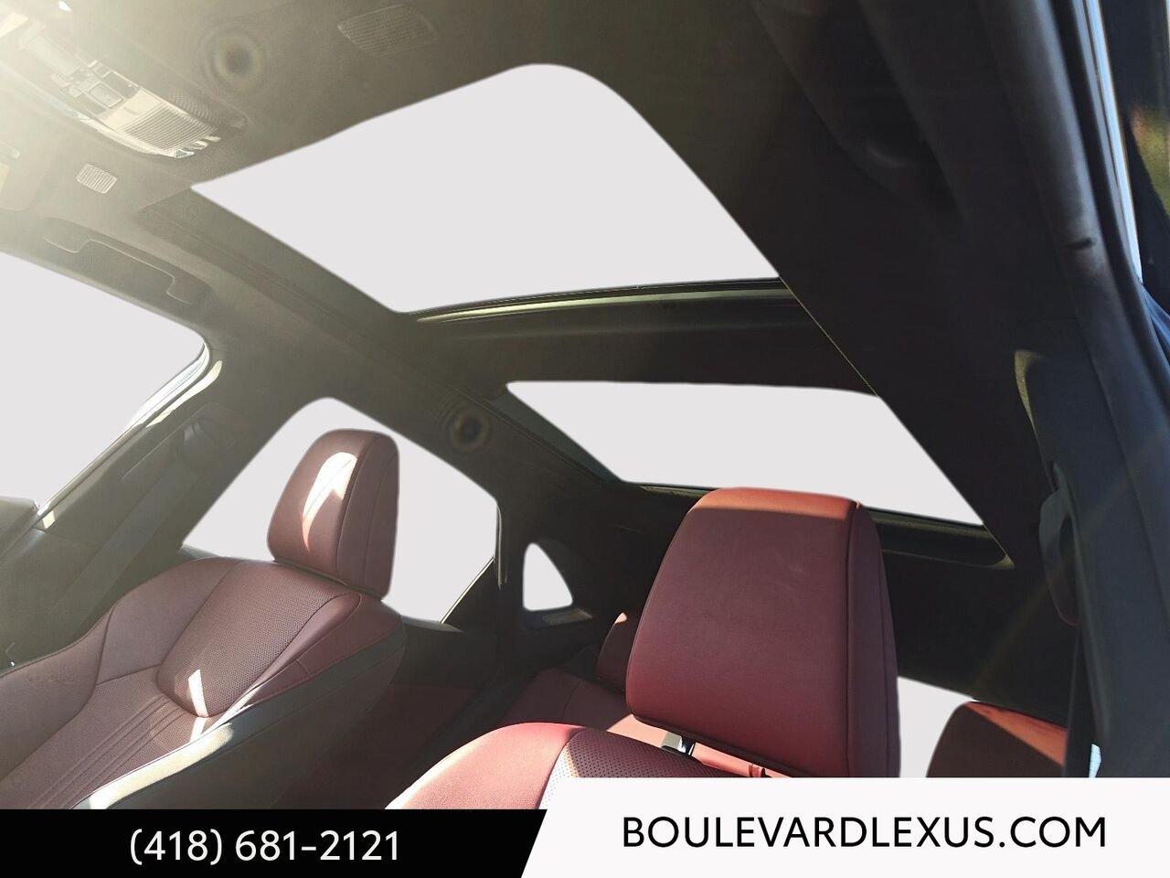 Lexus NX 19901A | NX 350h TI 2022 Noir Québec - photo #10