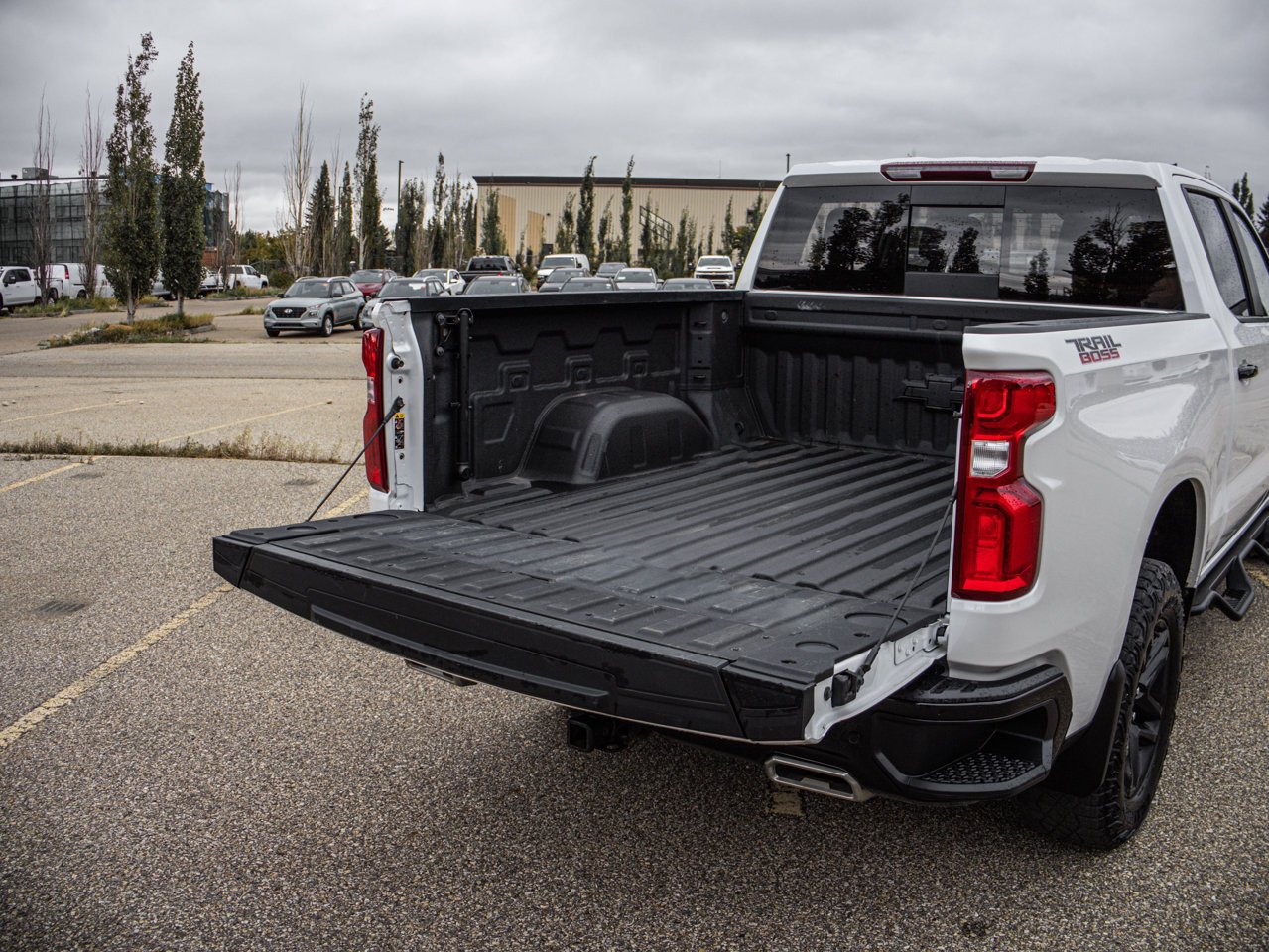 2024 Chevrolet Silverado 1500 4WD Crew Cab 147 LT Trail Boss White Sherwood Park - photo #30