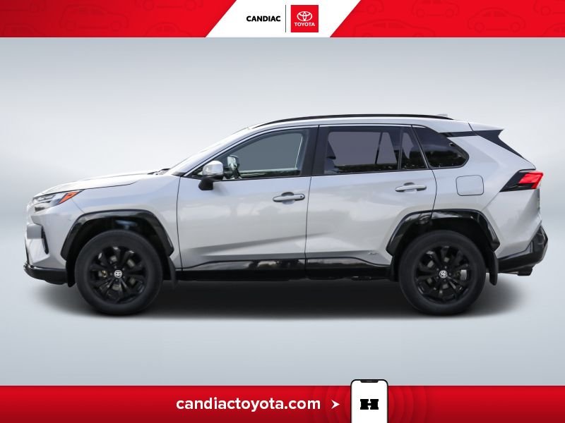 Toyota Rav 4 Hybrid SE AWD - VOLANT CHAUFFANT - TOIT OUVRANT - 2023 Argent