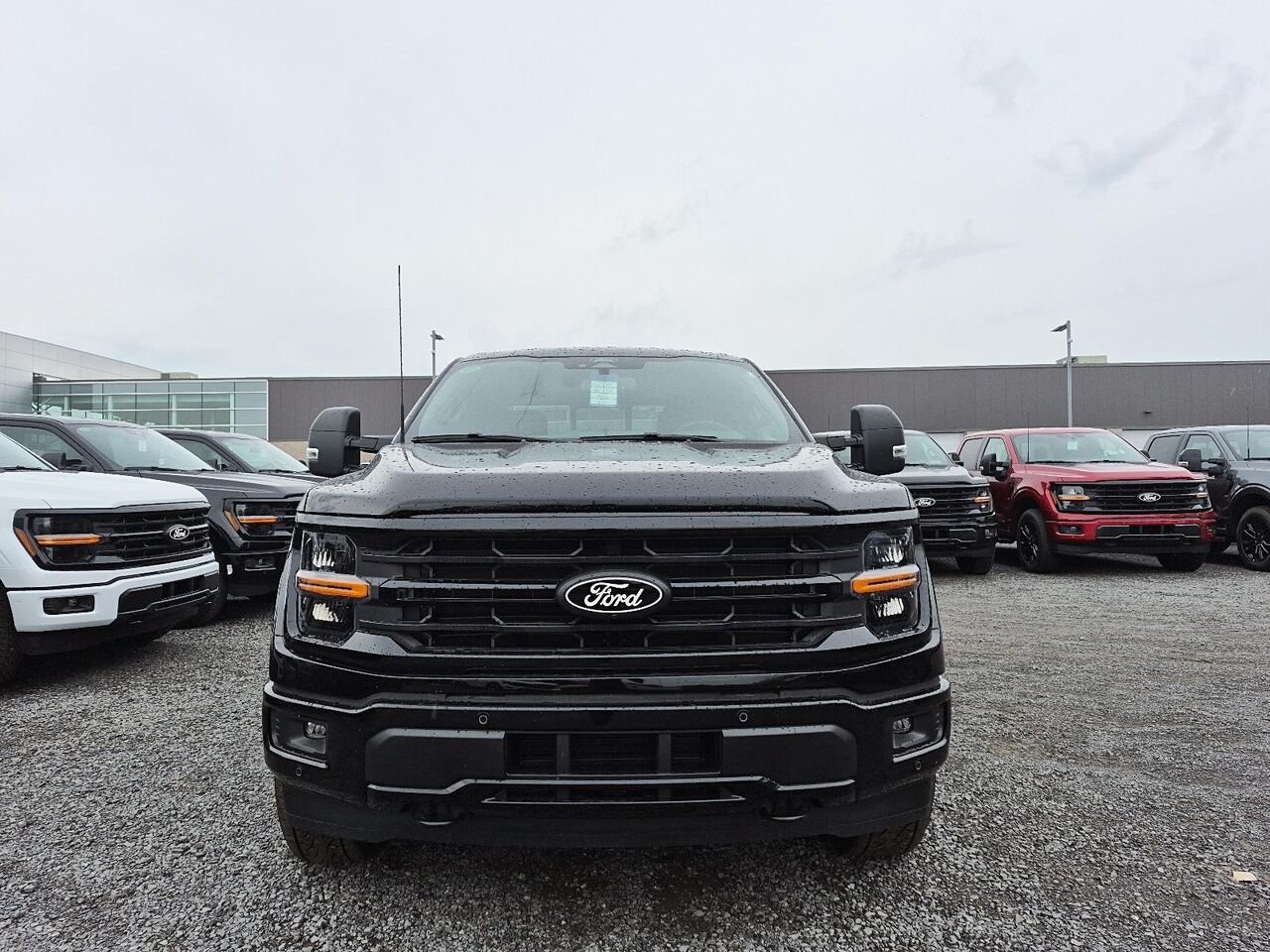 Ford F-150 2F208 | XLT 2026 Noir agate métallisé Saint-Jérôme - photo #1