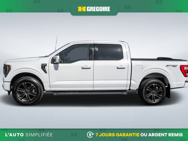 2021 Ford F150 White Laval - photo #4