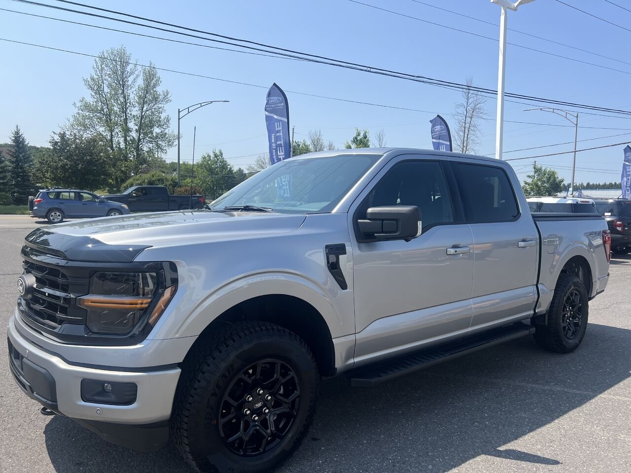 2026 Ford F-150 Grey Montmagny - photo #7