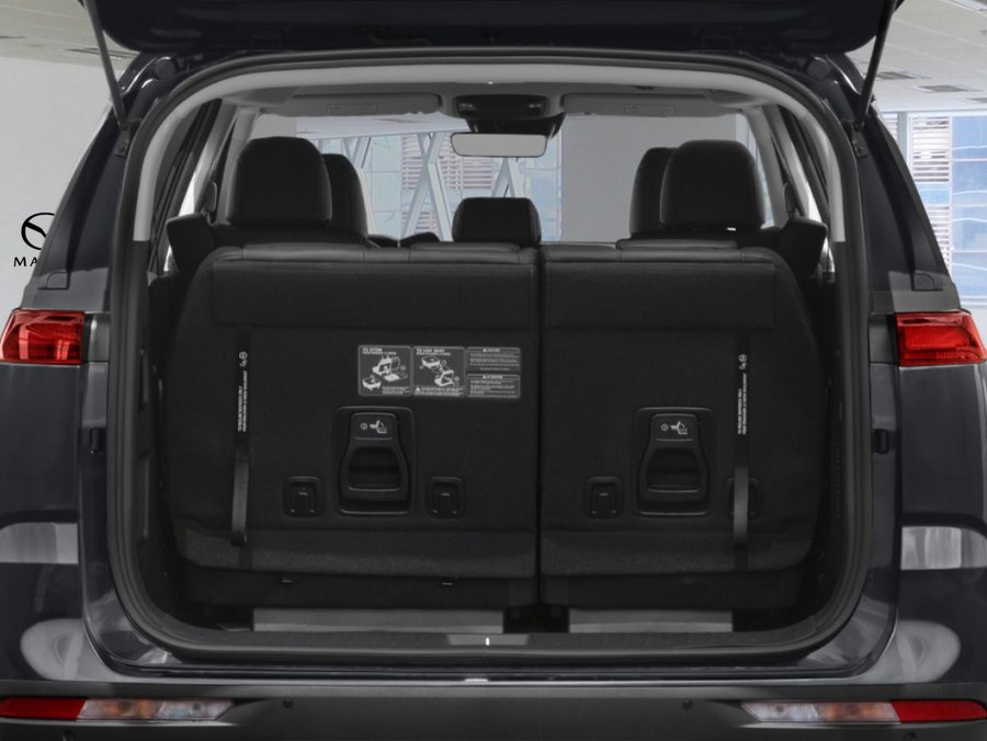 Kia Carnival LX+ TA 2023 Noir