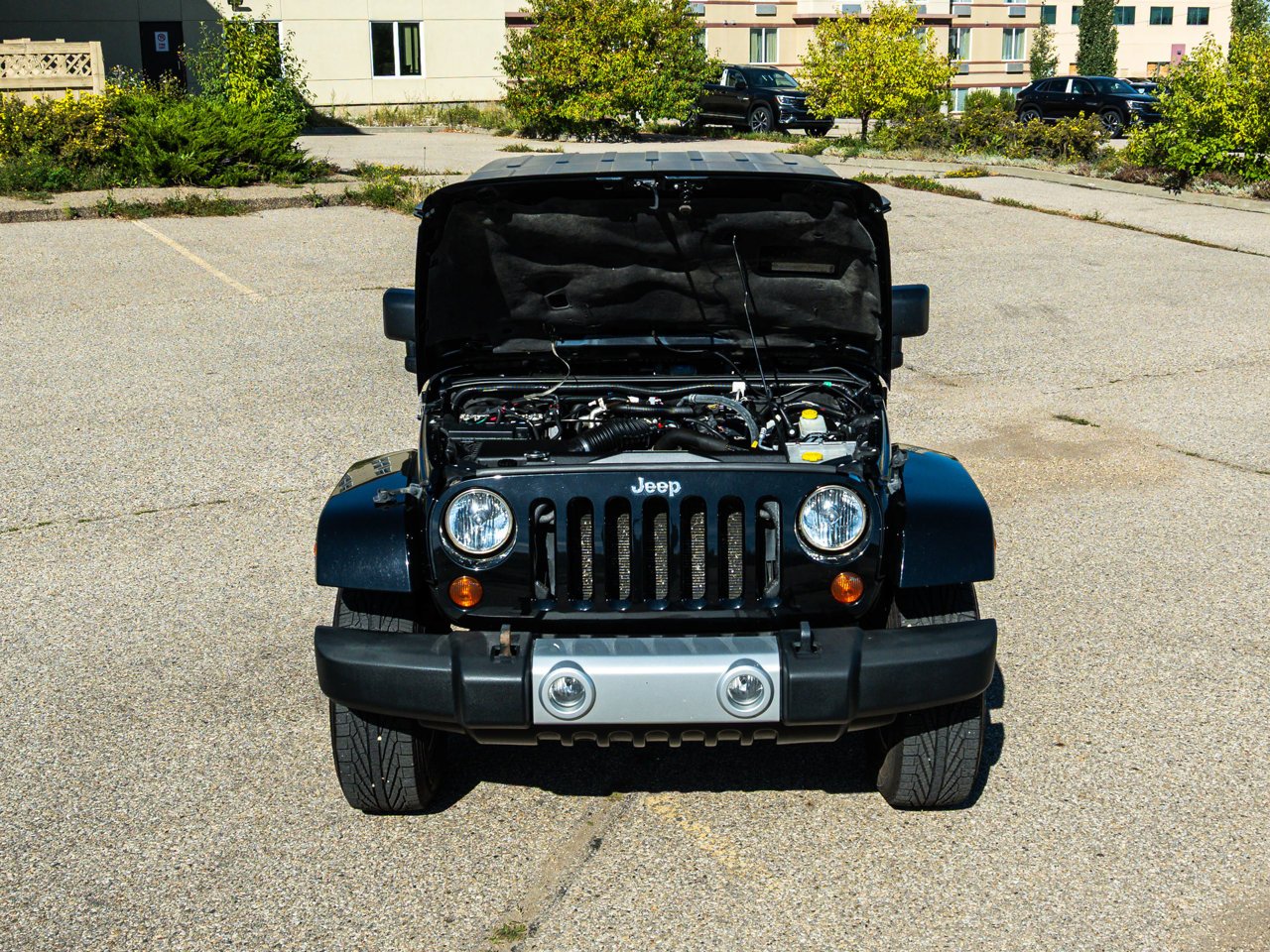 2009 Jeep Wrangler 4WD 2dr Sahara Black Sherwood Park - photo #9